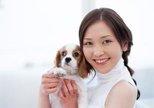 東証プライム上場企業による安心の土日祝対応も可能なシロアリ駆除サービス｜アサンテ